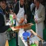 images/2023/2023_03_04_XI_kolbasztolto_es_fogopalinka_verseny/RVT_7259.jpg
