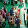 images/2024/20240309_x_kolbasztolto_es_fogopalinka_verseny/_RPK6146.jpg